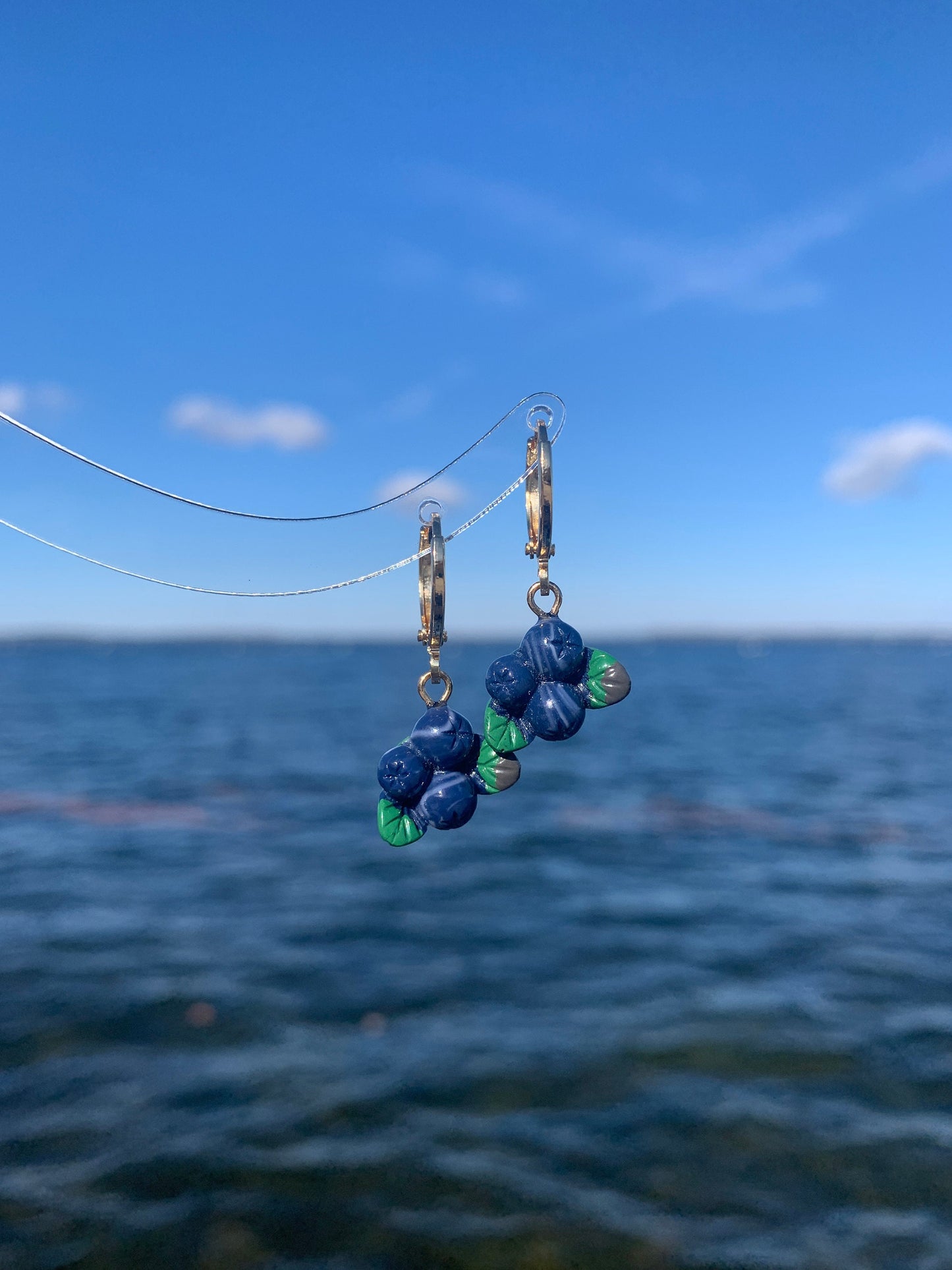 Unique Fruit Earrings Blueberry Huggie Hoop Earrings