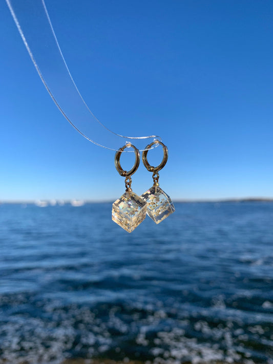 Unique Preserved Dandelion Cube Earrings