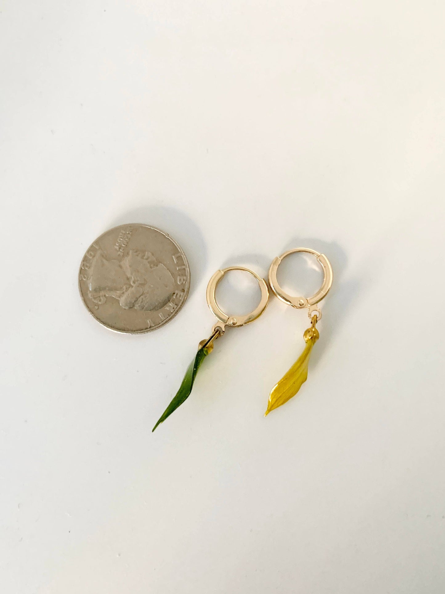 Unique Preserved Leaves Earrings