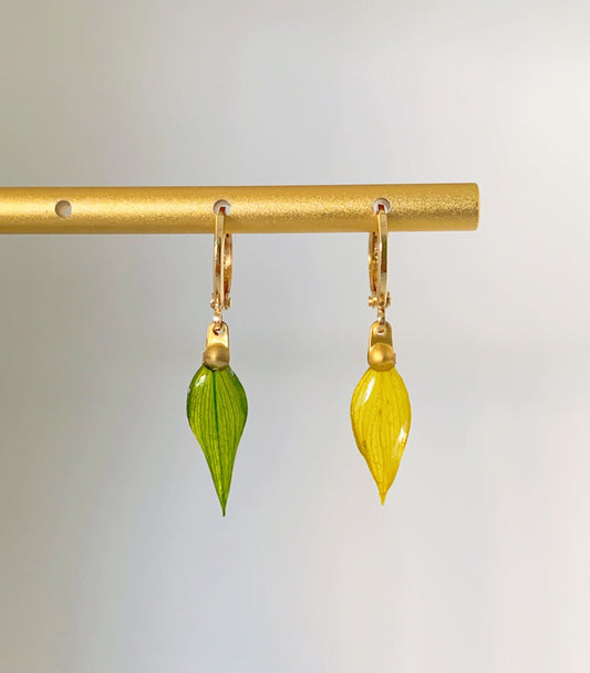 Unique Preserved Leaves Earrings